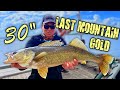 Video Thumbnail for New PB!! Regina Beach Walleye Slam (Bobber Down!) Last Mountain Lake