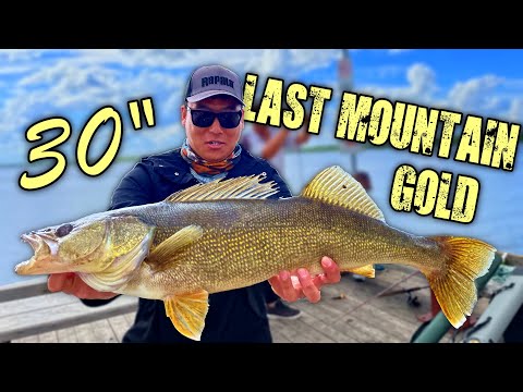 New PB!! Regina Beach Walleye Slam (Bobber Down!) Last Mountain Lake