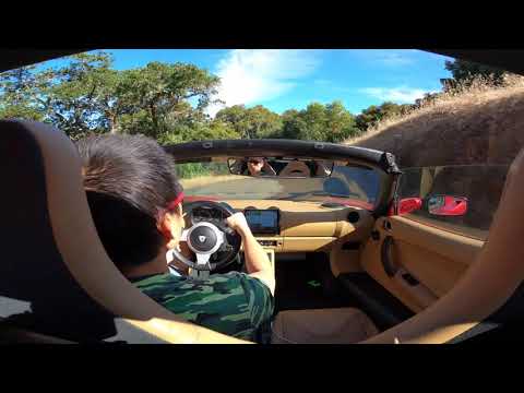 Tesla Roadster on Page Mill Rd