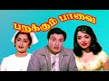 Parakkum Paavai M G Ramachandran Saroja Devi Kanjana Superhit MGR Movie 4K Video
