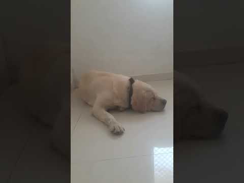 Sleep# Well#stay blessed #❤