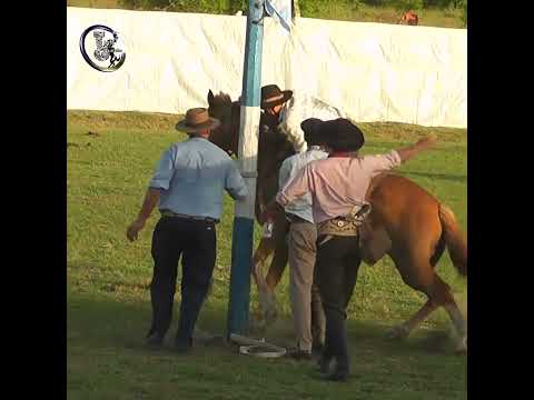 Ruedo en clinas GOLPE JUSTO en Alejandra Santa Fe
