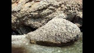 Noisex - Wasted Dreams