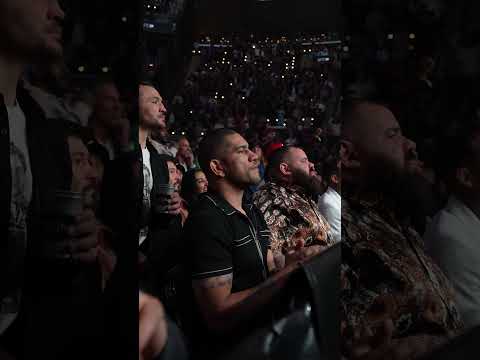 Jiří Procházka Issues Challenge to Hill and Ankalaev in Pivotal UFC 311 Bout