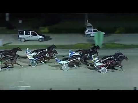 Aversa trotto 25 Gennaio 2020 - 6° Corsa