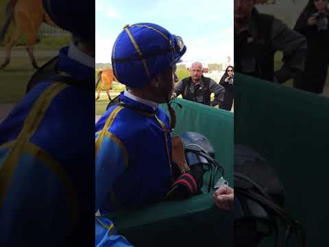 Sir Barnabus - Michael Cahill Post race