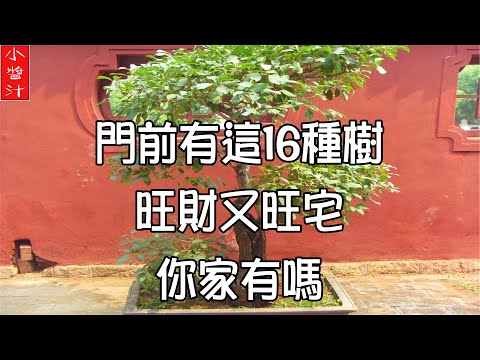 龍邊種樹