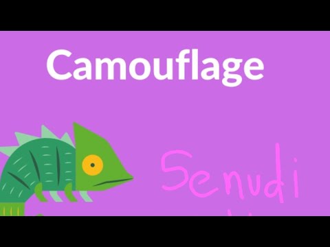 Camouflage like and subscribe