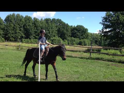 Wakacje w Stajni Promyk 2015