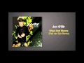 Paul Van Dyk Remix Of WAYS AND MEANS By Jon O Bir