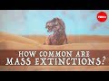 When will the next mass extinction occur? - Borths, D'Emic, and Pritchard
