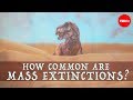 When Will The Next Mass Extinction Occur Borths D Emic And Pritchard