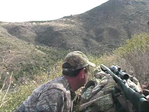Bob Beeman's 752 Yard Long Range Elk Shot