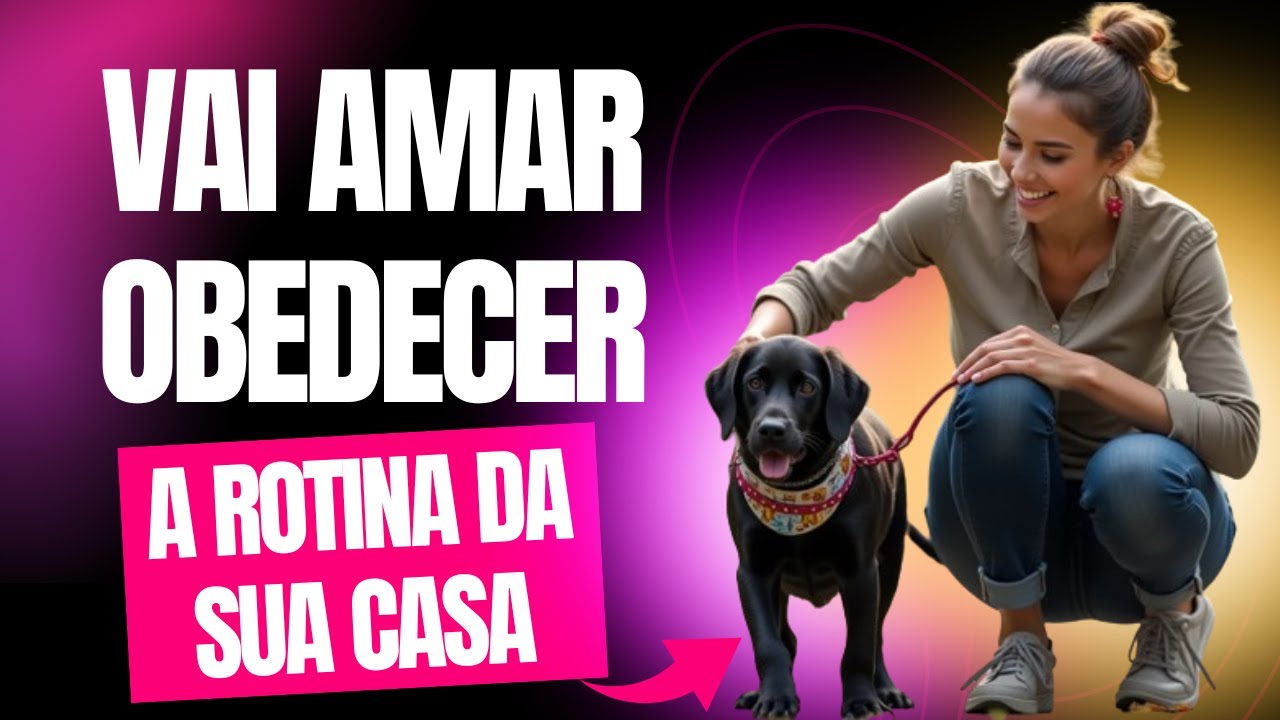 COMO FAZER O SEU CACHORRO OBEDECER E RESPEITAR A ROTINA DA SUA CASA?