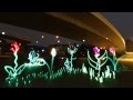 Shine a Light for Nature
