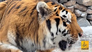 Երևան 14.01.2023