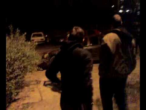 Serbian Jackass (Mirijevski jackass)