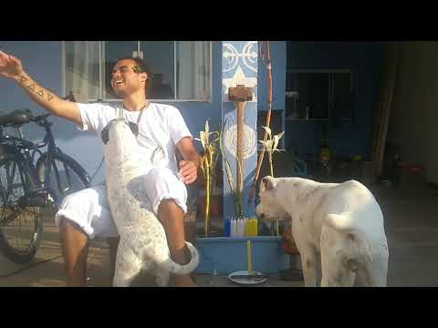 ⛰️ Diálogo com a entidade Preto velho Treme Terra⛰️