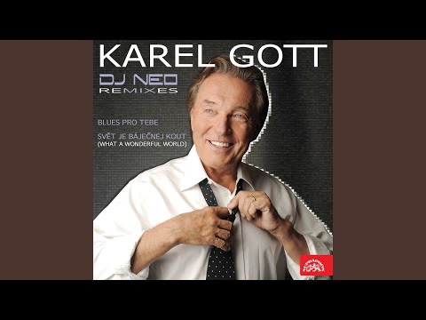 Svět je báječnej kout [What A Wonderful World] (DJ Neo summer in Prague Remix)