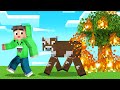 RAeXM2w05Eg/default.jpg