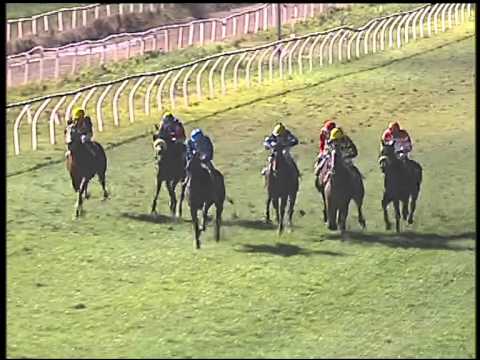 Galoppo 10/02/2015 - 6° corsa