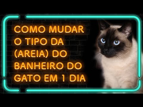 Como trocar o tipo da areia para gatos (EM APENAS UM DIA)!
