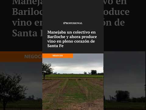 De colectivero a productor de vino: la increíble historia de Sergio Balbi