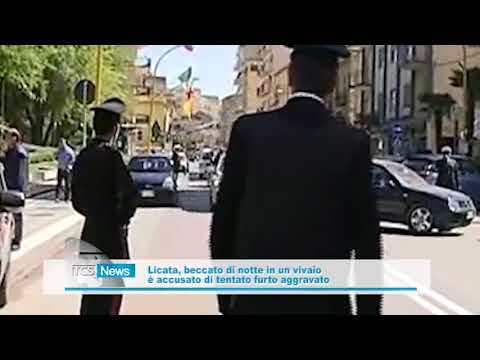 Licata beccato di notte in un vivaio è accusato di tentato furto aggravato