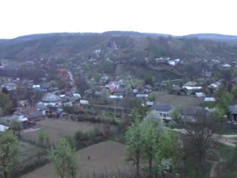 PINCESTI DIN POIANA FILMAT DE PETRICA