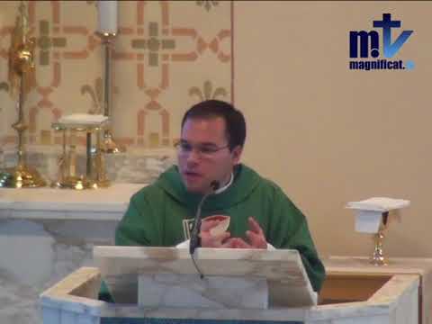 Evangelio y Homilía. San Mateo 19, 3-12. " Pues lo que Dios ha unido, que no lo separe el hombre ".