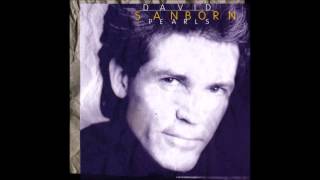 David Sanborn - Willow Weep for Me