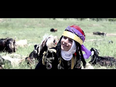 Hesne Zahir  -  Karmaca