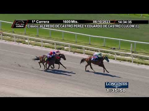 231008 c01 Cl A. De Castro Perez y E. De C. Clulow/ JUSTICE CAT