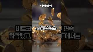 “비트코인 10개월 만에 최장기 하락, 원인은 스페이스X”