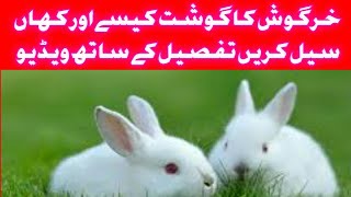 Where to sale rabbit meat? by Tariq Ch.