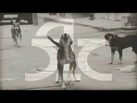 7. Λόγος Τιμής - Τα Σκυλιά [Scratch:Marvel] Promo EP 