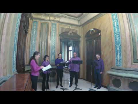 Geamparalele (ar. Șerban Marcu)