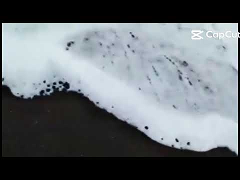 18 meses en el océano Pacífico jurado choco