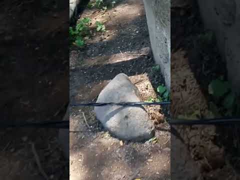 Pozo artesanal, se le barreneo y se calzo a 6", resultados 90 gpm, San Francisco Libre Managua