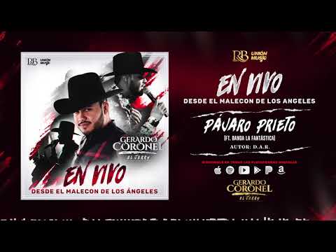 Gerardo Coronel - Pájaro Prieto ft. Banda La Fantástica (Audio Oficial)