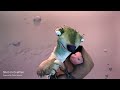 Ice Age 2002 Save The Baby