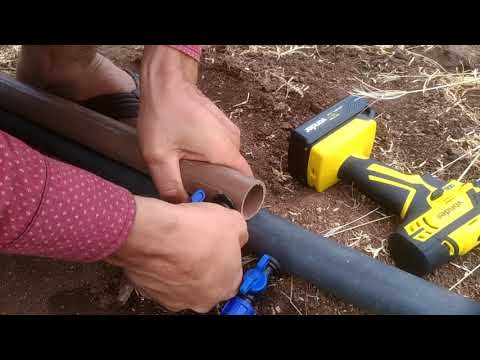 INSTALAÇÃO DE IRRIGAÇÃO POR GOTEJAMENTO EM PALMA COM ÁGUA SALOBRA, mais informações nas descrições.