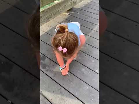 This Little Girl Saved a Fish's Life 🥹🐟