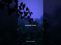 Conor Maynard Someone You Loved Lyrics Aesthetic Conormaynard Soneoneyouloved Shortsfeed