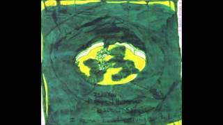 Animal Collective &amp; Vashti Bunyan - Prospect Hummer