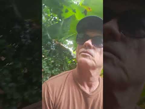 Éu na minha casa junto com a natureza aragarças Goiás 