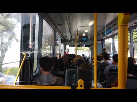 NZ: M.A.N 17.223 - Tamaki Link (To Glen Innes)