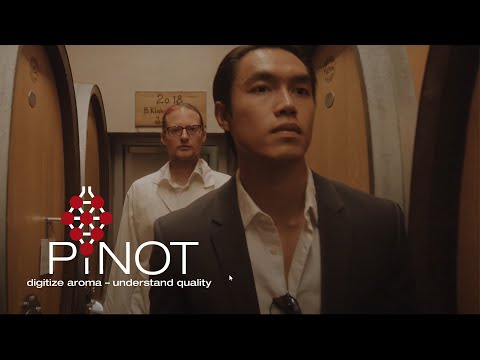 Project PINOT Trailer | KI im Weinbau und Weinhandel | Weincampus Neustadt (with English subtitles)