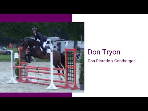 Was macht eigentlich … Don Tryon?