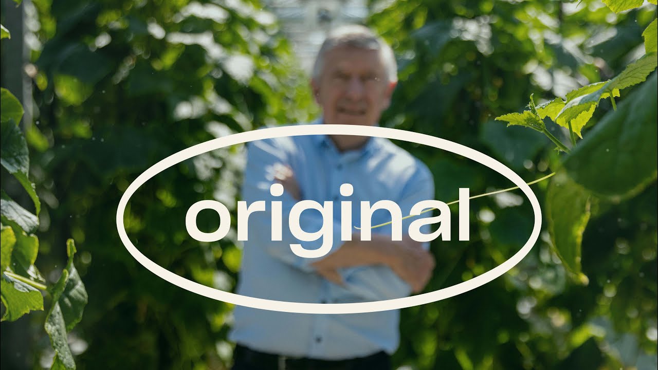 Video preview poster